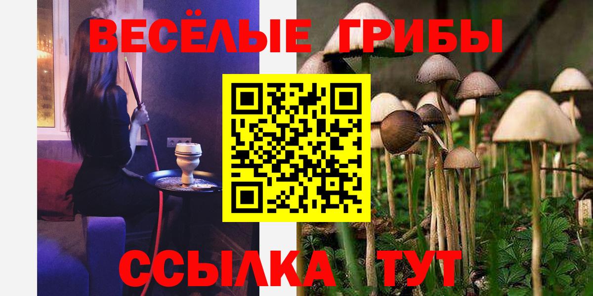 Галлюциногенные грибы MAGIC MUSHROOMS Дедовск